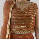 Rich earthy brown color and golden accents lehenga