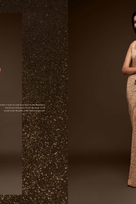 Beige Golden Saree with stitched Blouse