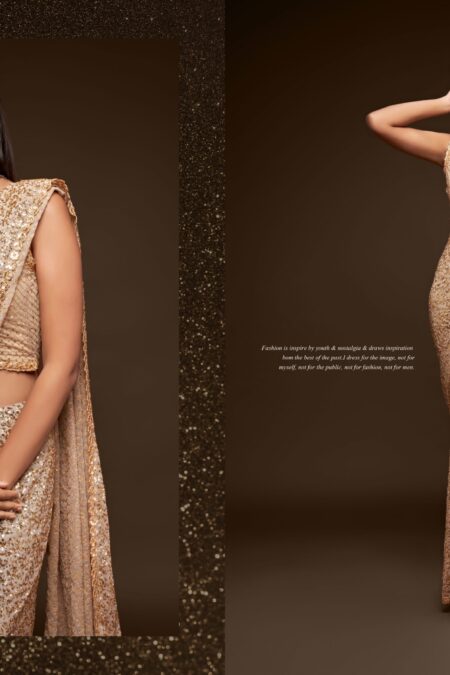Beige Golden Sequence Saree with stitched blouse