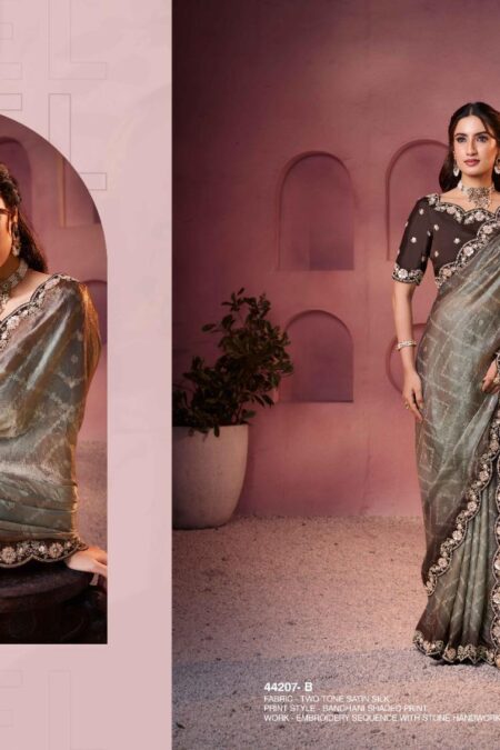 Brown Grey Saree with embroideried Blouse